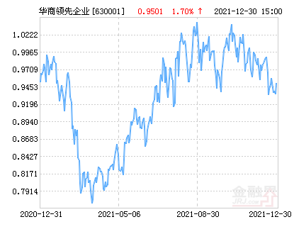华商主题精选股票基金630011，科技巨擘引领投资新纪元