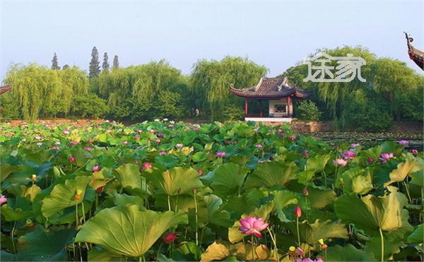 🎫无锡蠡园门票价格详解🌸