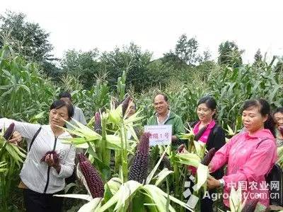 怀来新鲜事，自然之旅的心灵探索，寻找平和之地的旅行
