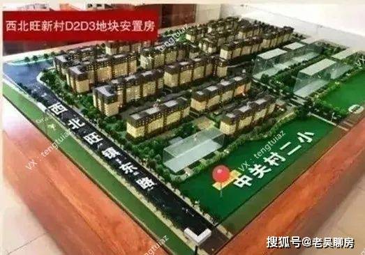 笑祖塔院最新动态，欢乐时光中的温情故事