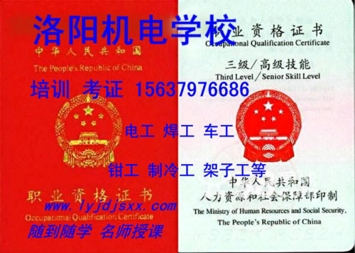 洛阳焊工招聘信息揭秘，探寻隐秘匠心，汇聚焊接精英