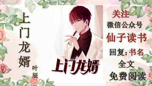 上门女婿王浩的逆袭之路与人生抉择最新章节✨