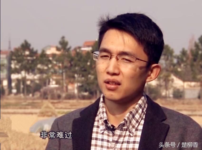 浙江禽流感最新动态，挑战中的应对与信心之光
