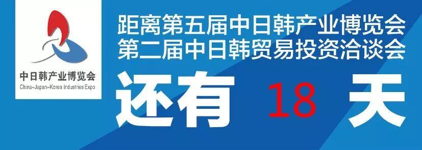 潍坊油价调整与科技引领绿色出行新篇章