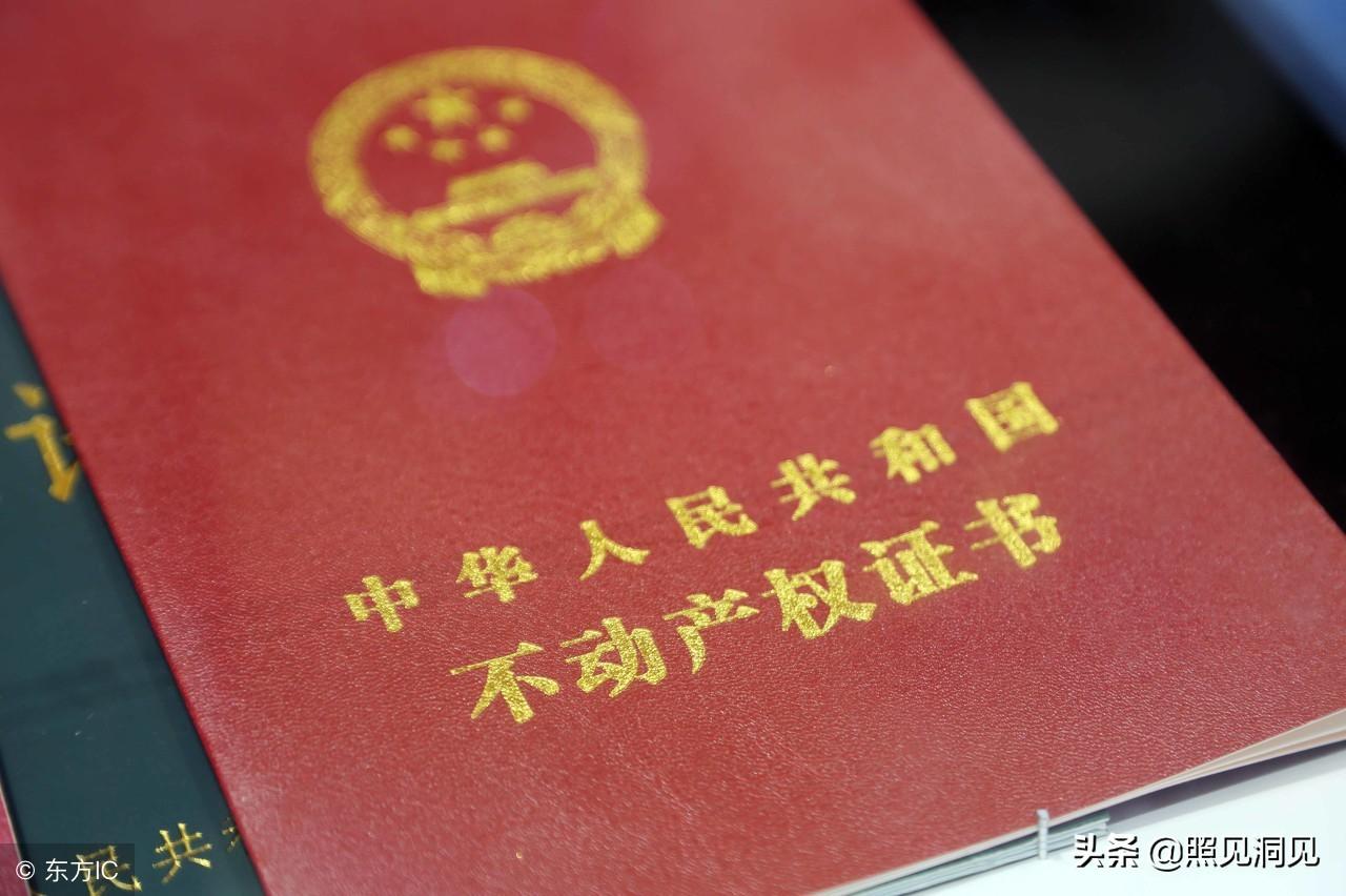最新权证，背景、发展、影响与地位全面解析