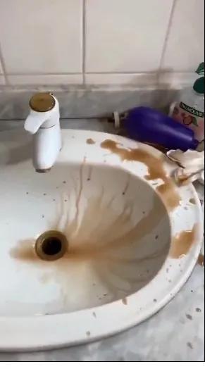 水宝宝起源与特定时代地位揭秘，最新发展概览