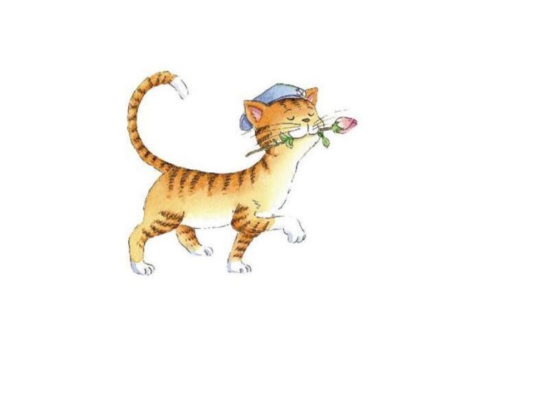 最新笑猫日记，背景、事件、影响与时代地位全面解析