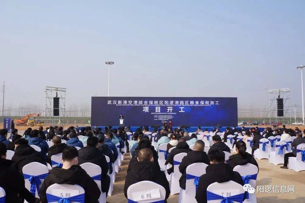 阳逻最新动态，区域发展的多维视角审视