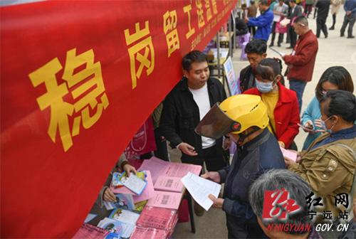 富民县最新招聘信息，科技驱动未来，工作生活新体验开启