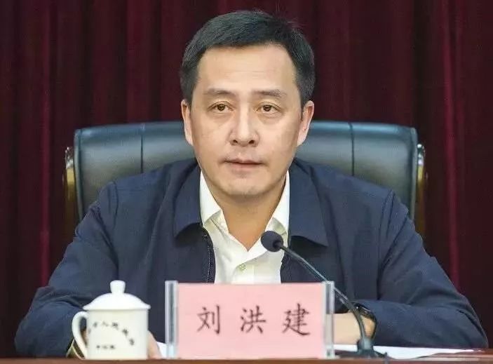 陈行甲最新动态更新