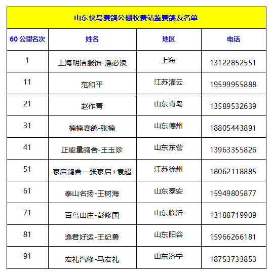 山东赛鸽公棚最新公告,山东赛鸽公棚最新公告，赛事动态与未来展望