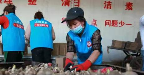 河南大蒜最新价格及市场走势与影响因素深度解析