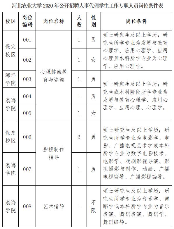黄骅最新招聘，求职全流程指南与招聘信息速递
