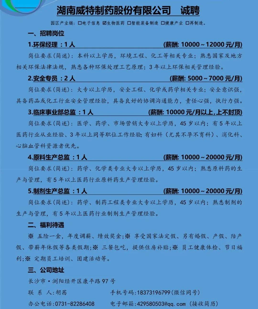 益阳最新招聘，小城求职奇遇与友情的温暖纽带之旅