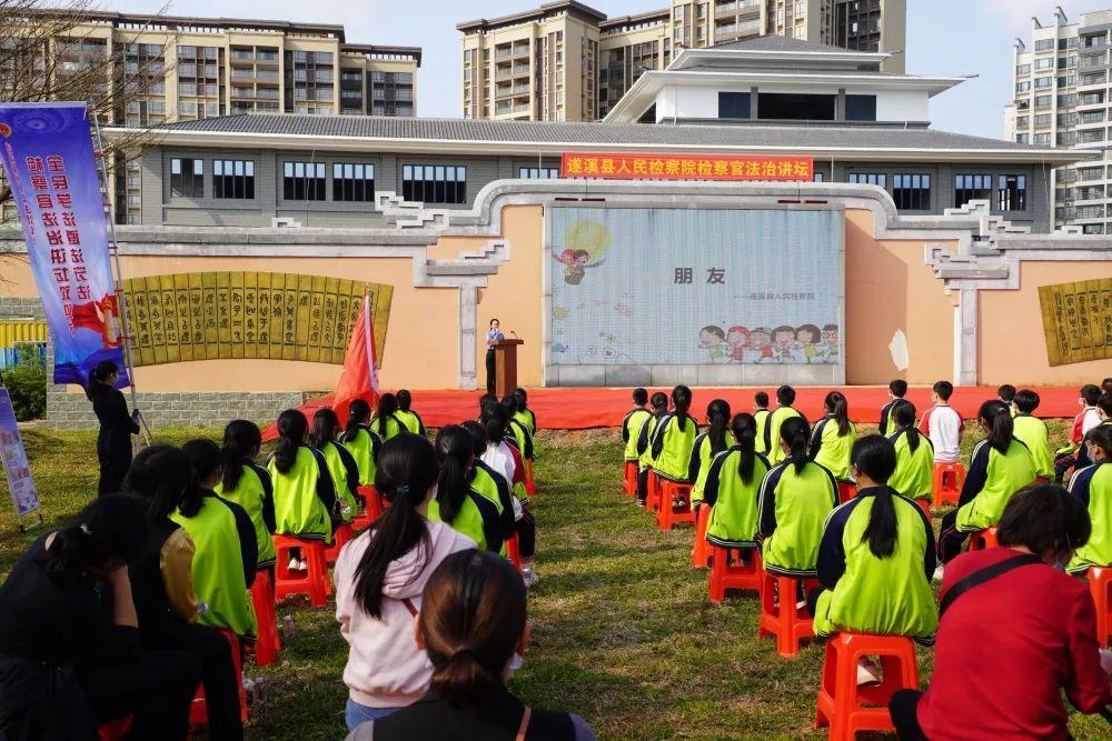 湛江遂溪最新事件，学习之光引领成长之路