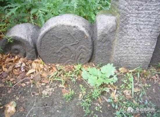 大石桥最新招聘集结，开启职业新篇章，未来从这里起航！