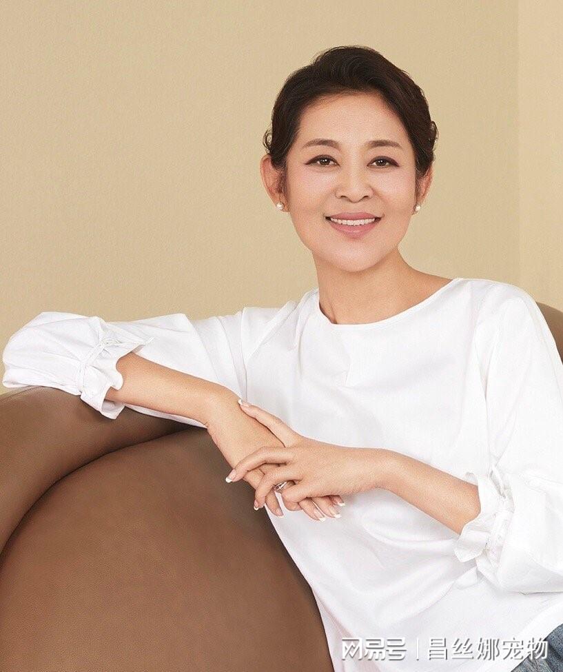 倪萍最新动态，荧屏女神的生活点滴与最新消息