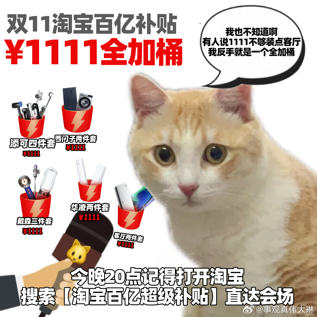 佰亿猫最新动态，入门到精通，掌握新技能的详细步骤指南