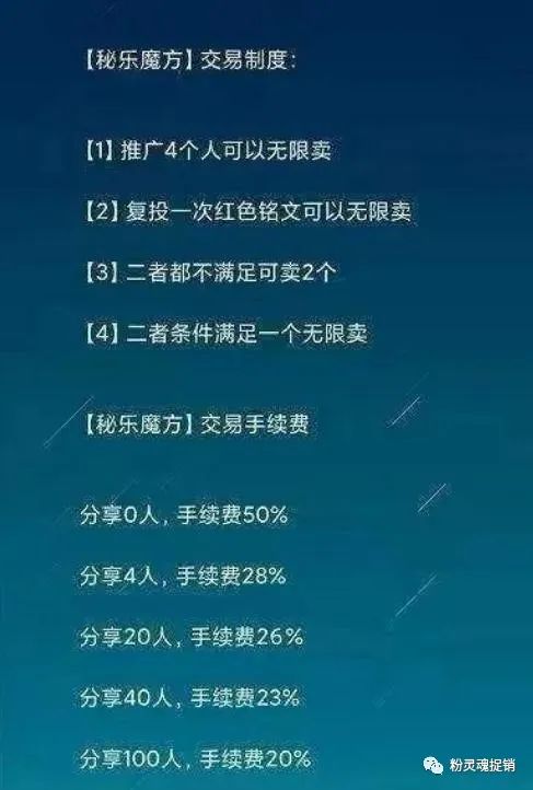 秘乐最新调查揭秘,小巷特色小店隐藏宝藏的奇遇之旅