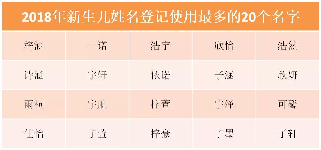 新生儿改名字最新规定，自我重塑之旅，变化的力量