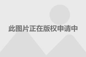 欧迪最新款，驶向成功的自信与成就之旅车