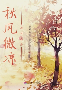 最新秋叶