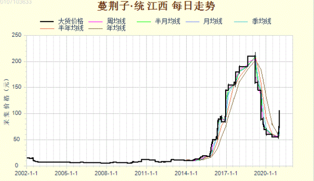 蔓荆子最新价格指南，适合初学者与进阶用户的价格信息