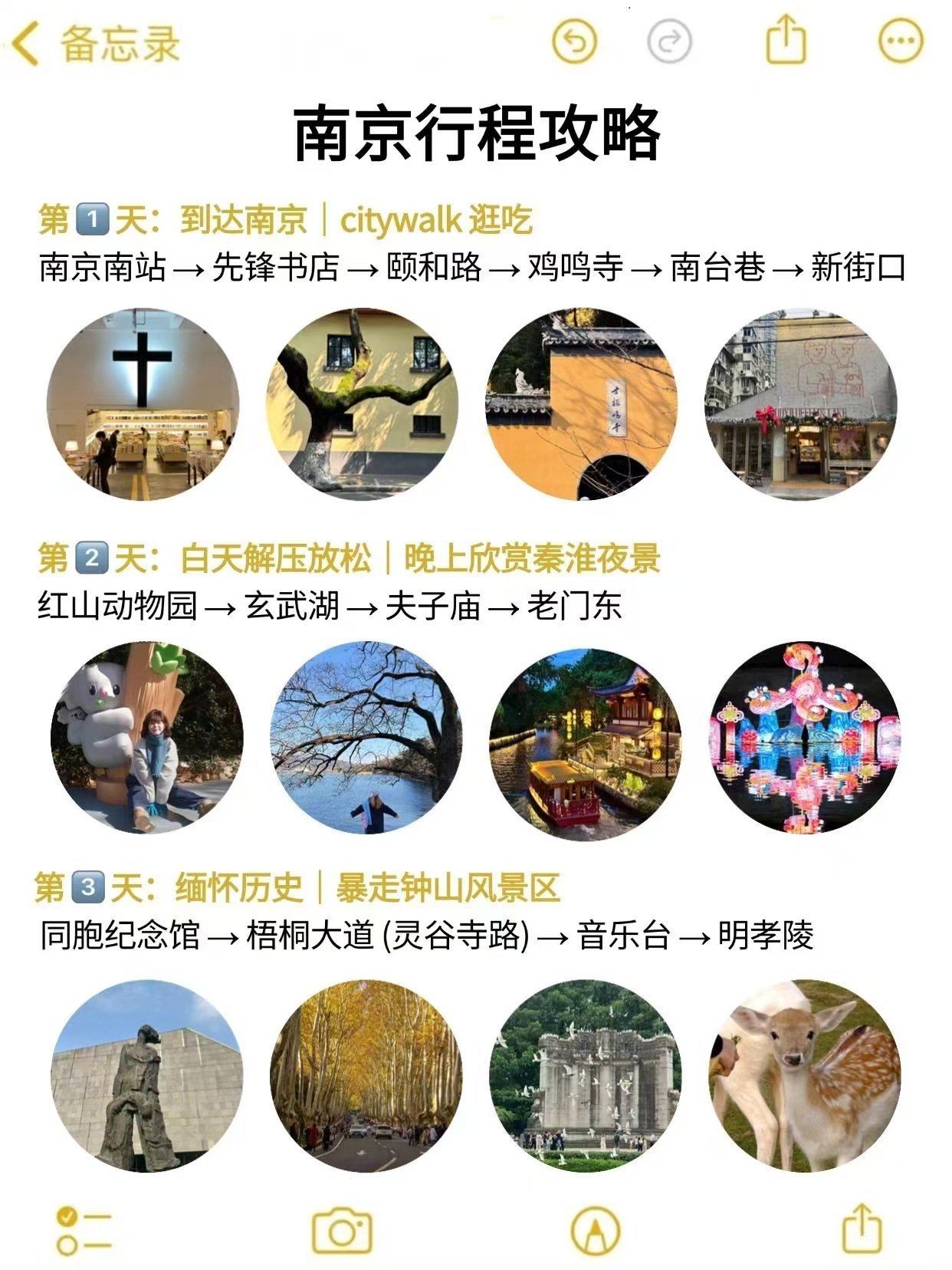 南京游记，巷弄深处的独特邂逅