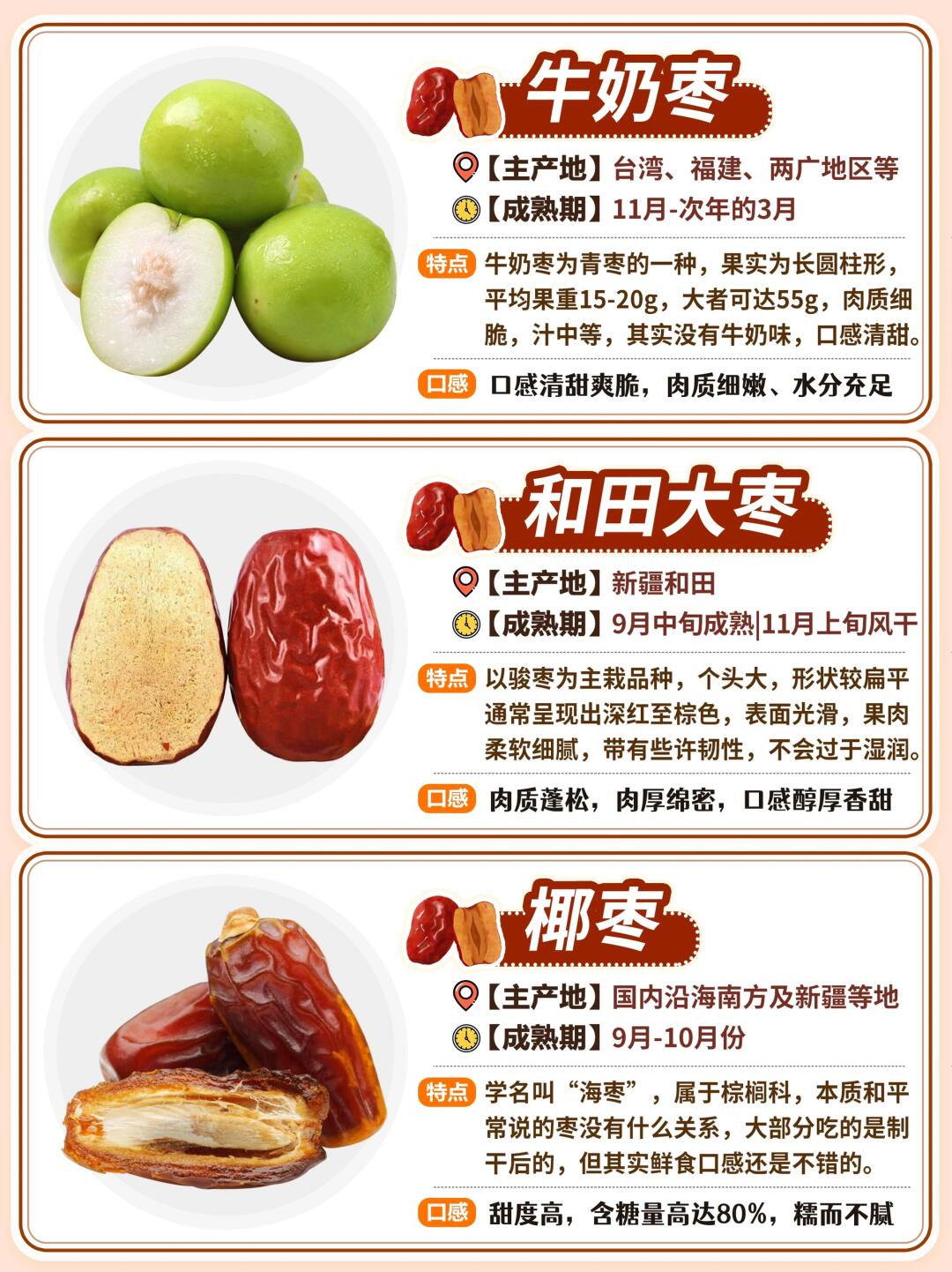 探寻新时代背景下的最新枣树品种，开启枣树新纪元