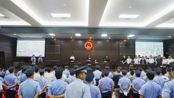 最新删除域名，科技新星重塑网络世界，体验未来生活新纪元
