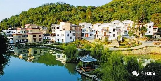 嘉鱼最新征婚，小巷深处的浪漫缘分小店开启征婚新篇章