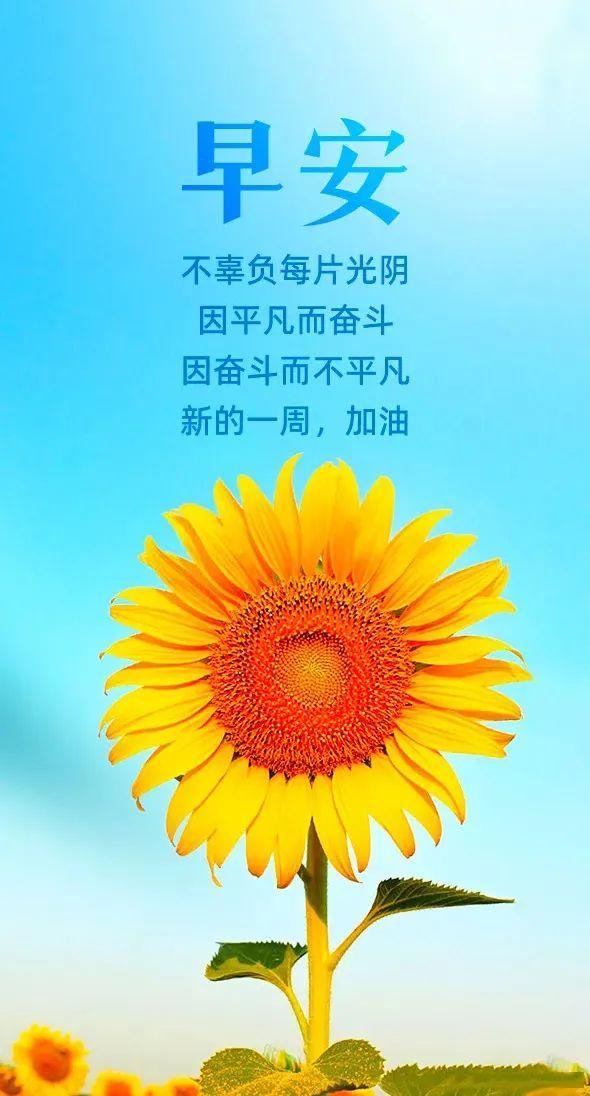 今日热点话题正反方观点碰撞，我的个人立场与最新说说