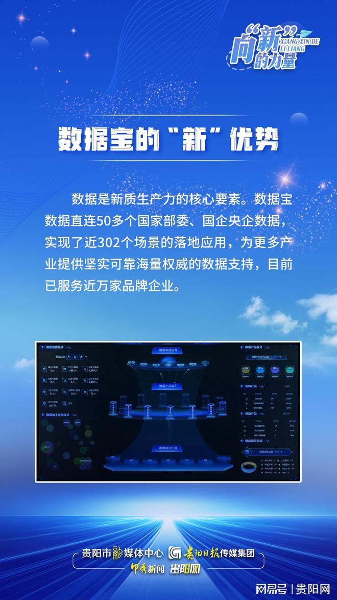 最新数据宝，数字时代的宝藏与璀璨明珠