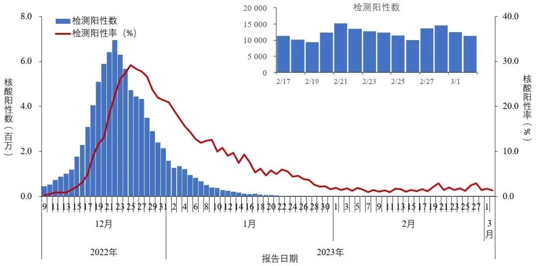 数字时代的隐形威胁揭秘，最新数据病毒曝光