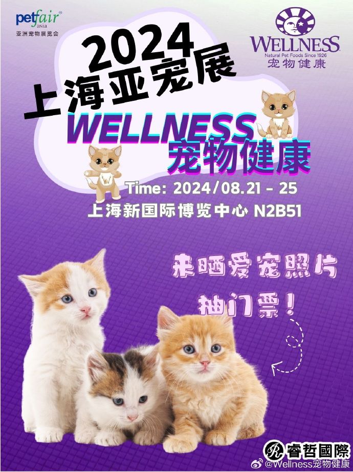 猫展盛宴，自信、成长与猫步间的奇幻之旅