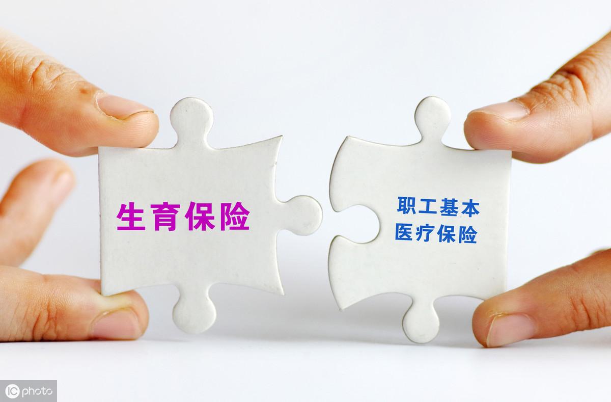 保险最新热点解析与探讨