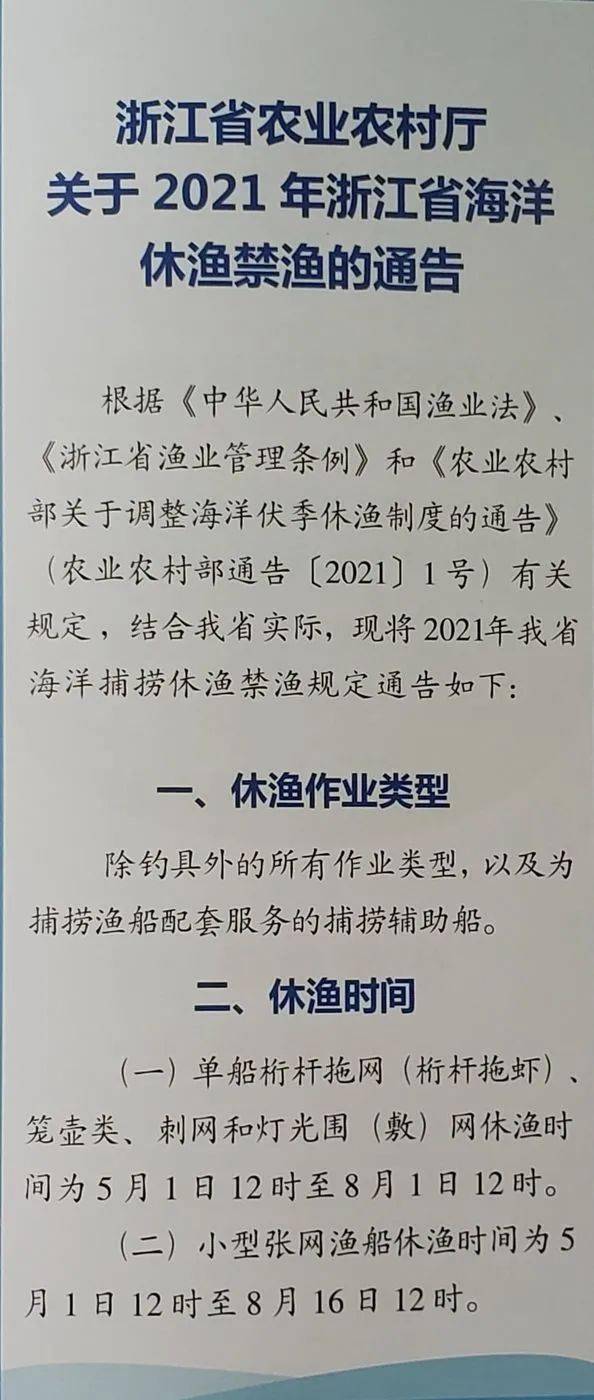 浙江最新通告聚焦解读，要点一览无余