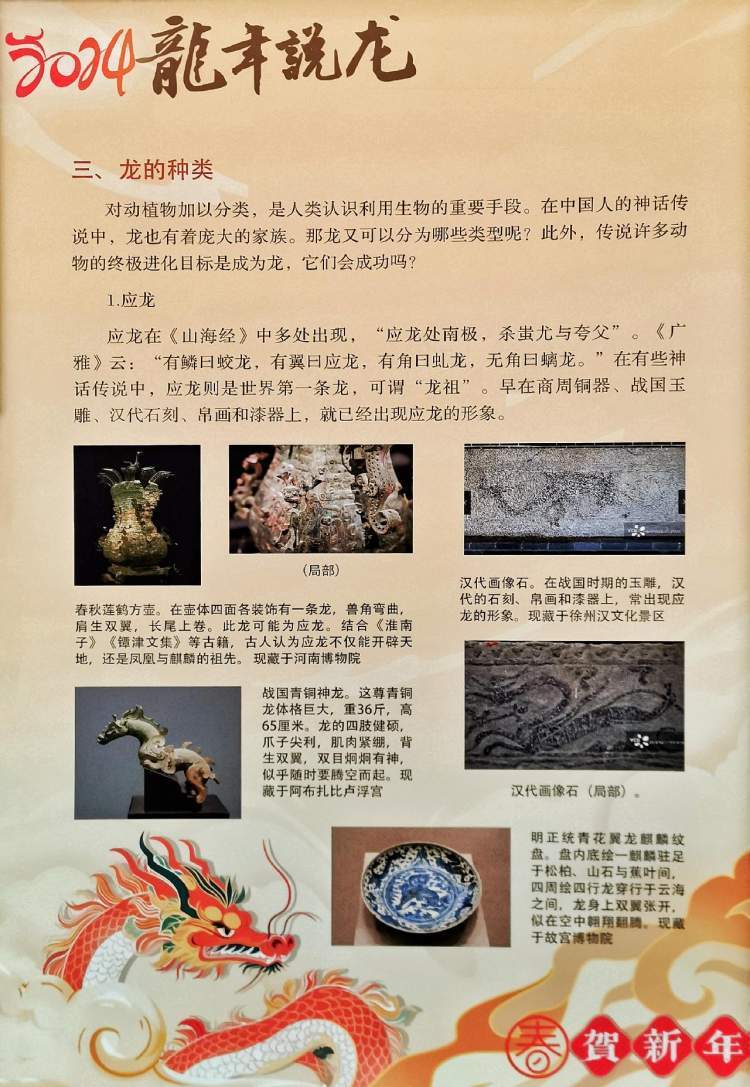 龙物最新，自然美景的轻松探索之旅