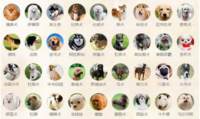 最新犬品种探索，自然美景的旅行之旅