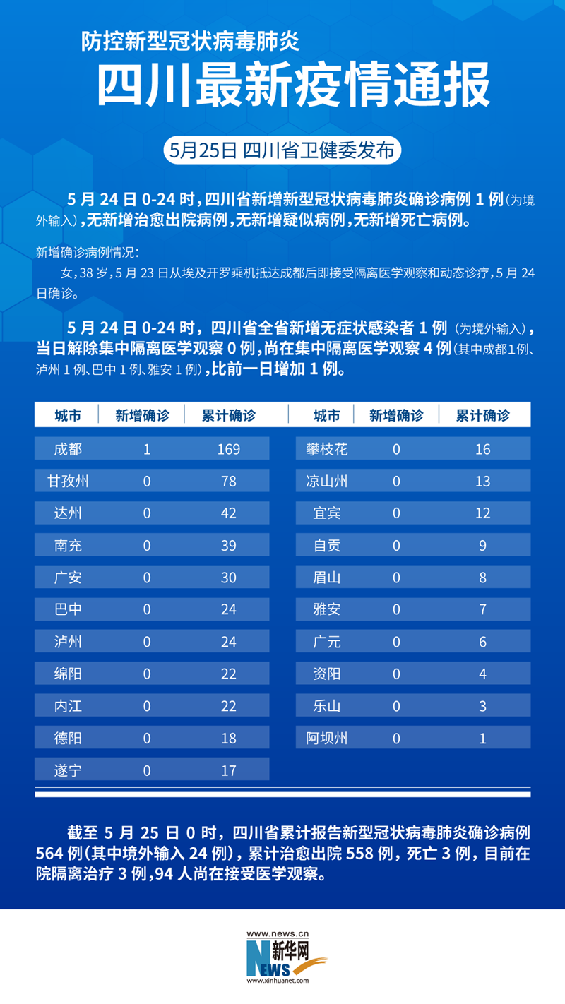 二十四小时最新疫情动态，全面论述与观点