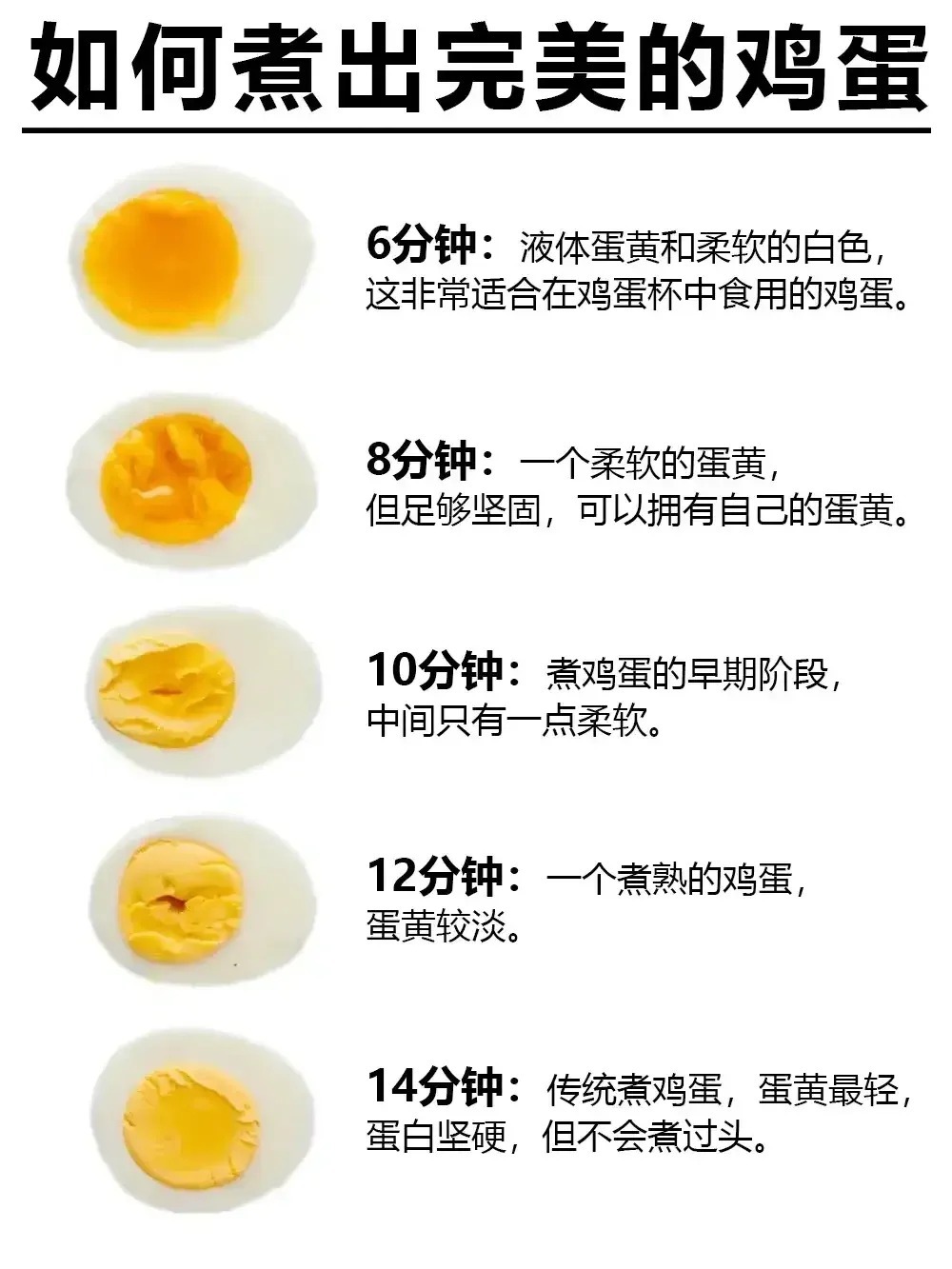 掌握最新煮鸡蛋技巧，烹饪完美鸡蛋的艺术之道