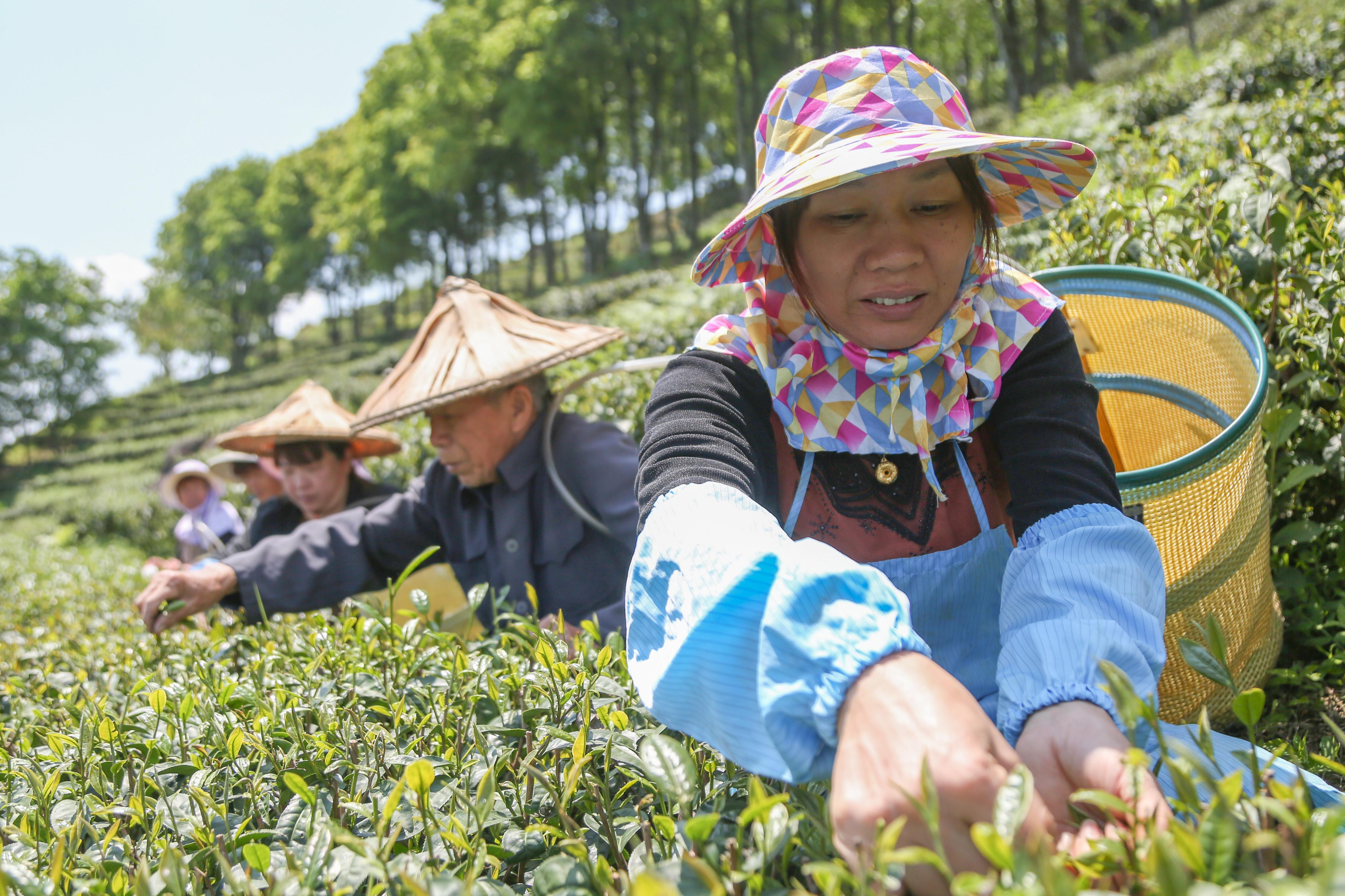 于悦最新发现，小巷特色小店的独特魅力与隐秘美味