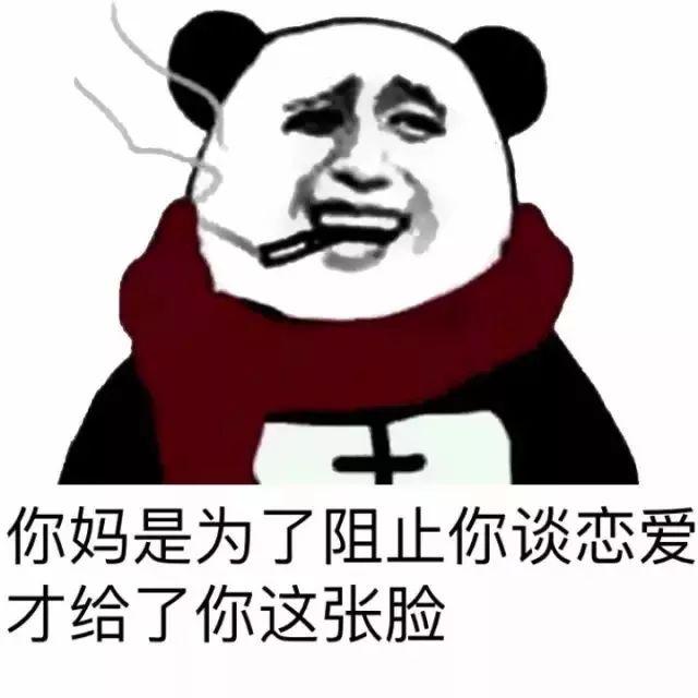 最新怼人表情包，自信与成就感的表达与学习变化