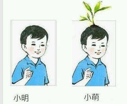 探索自然美景的治愈之旅，2025最新小明去看看之旅