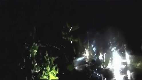 深度解析，晚上必看最新视频预告三大要点
