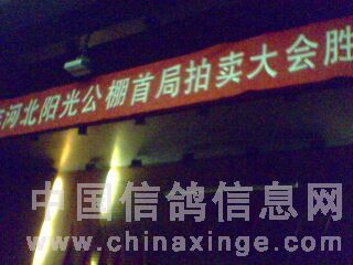公棚最新招聘信息发布，寻找优秀人才加入团队