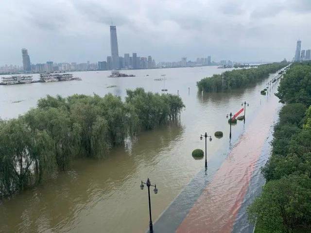 南京水位最新动态更新🌊