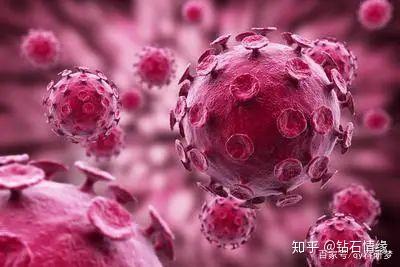北京新冠病毒防控进展、科普知识与生活指南最新更新