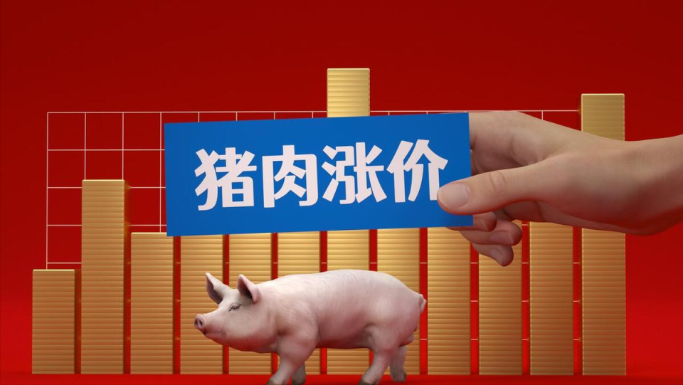 最新猪价行情深度解析与探析