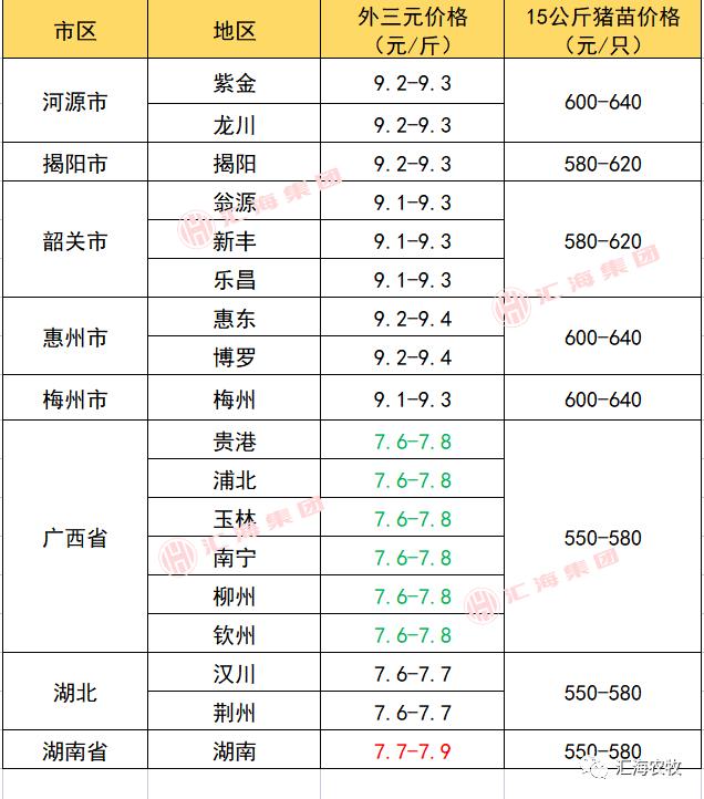 全国毛鸭最新报价汇总，市场分析、趋势预测与行情动态